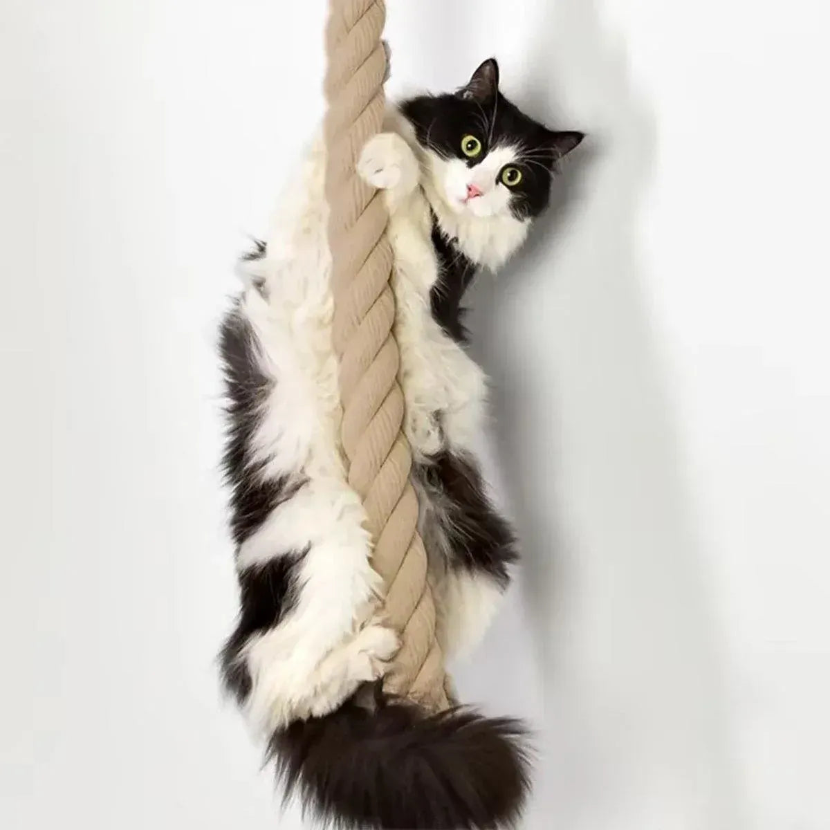 Spud Jax Petshop Cat Climbing Rope Cat Climbing Rope Pet Care > Cat Supplies > Cat Scratchers