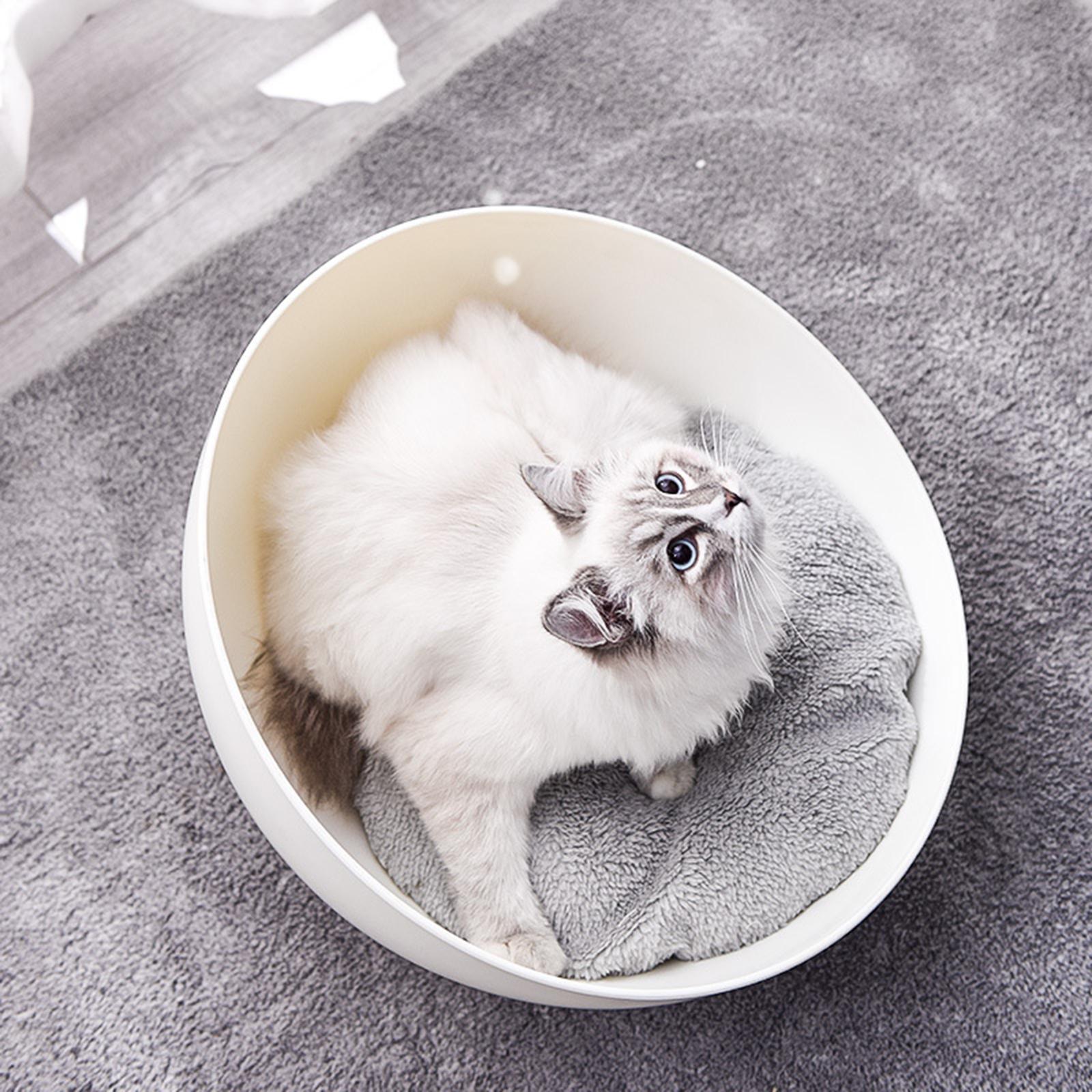 Spud Jax Petshop Cat Sphere Bed Nest Pet Care > Toys > Cat Toys
