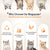 Spud Jax Petshop Cat Tree Tower Condo Scratcher Bed Sisal Plush Toy Ball Cat Tree Tower Condo Scratcher Bed Sisal Plush Toy Ball Pet Care > Cat Supplies > Cat Scratching Posts