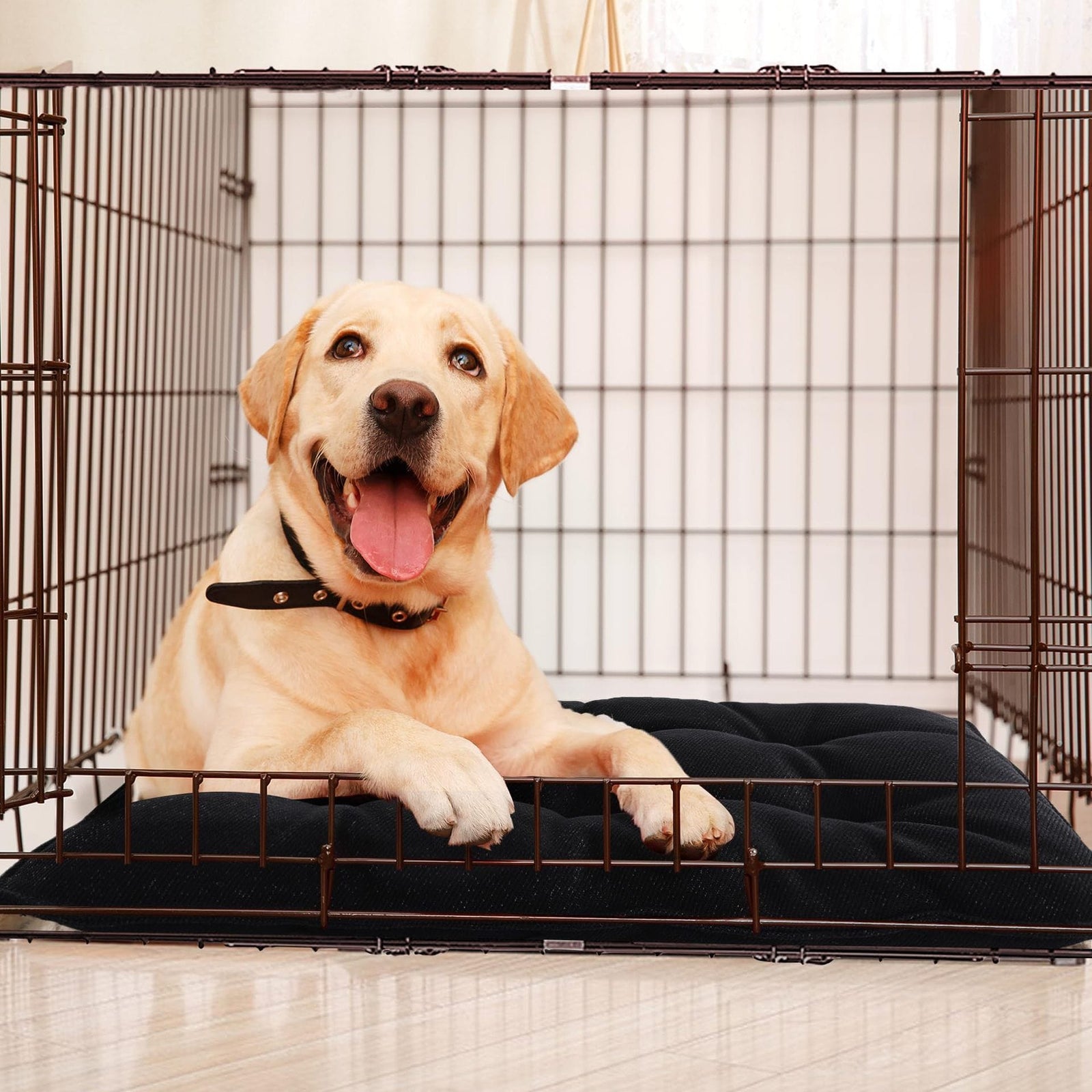 Spud Jax Petshop Chew Proof Indestructible Dog Beds for Aggressive Chewers,Durable Dog Crate Pad,Washable Tough Pet Mats for Kennel,Black,S 43*58cm Chew Proof Indestructible Dog Beds for Aggressive Chewers,Durable Dog Crate Pad,Washable Tough Pet Mats for Kennel,Black,S 43*58cm Pet Care > Dog Supplies > Dog Beds
