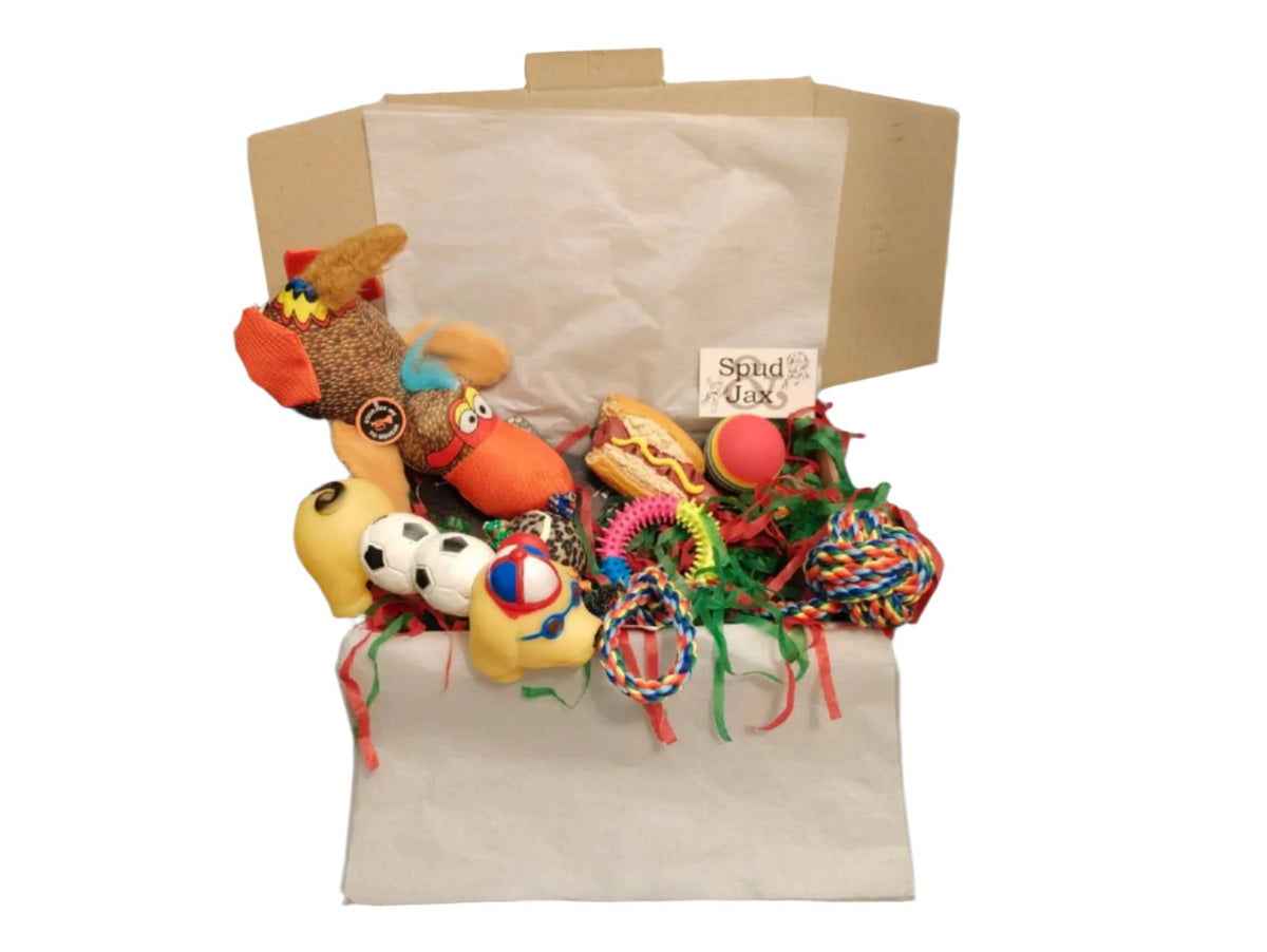 Spud Jax Petshop Toy Box Toy Box