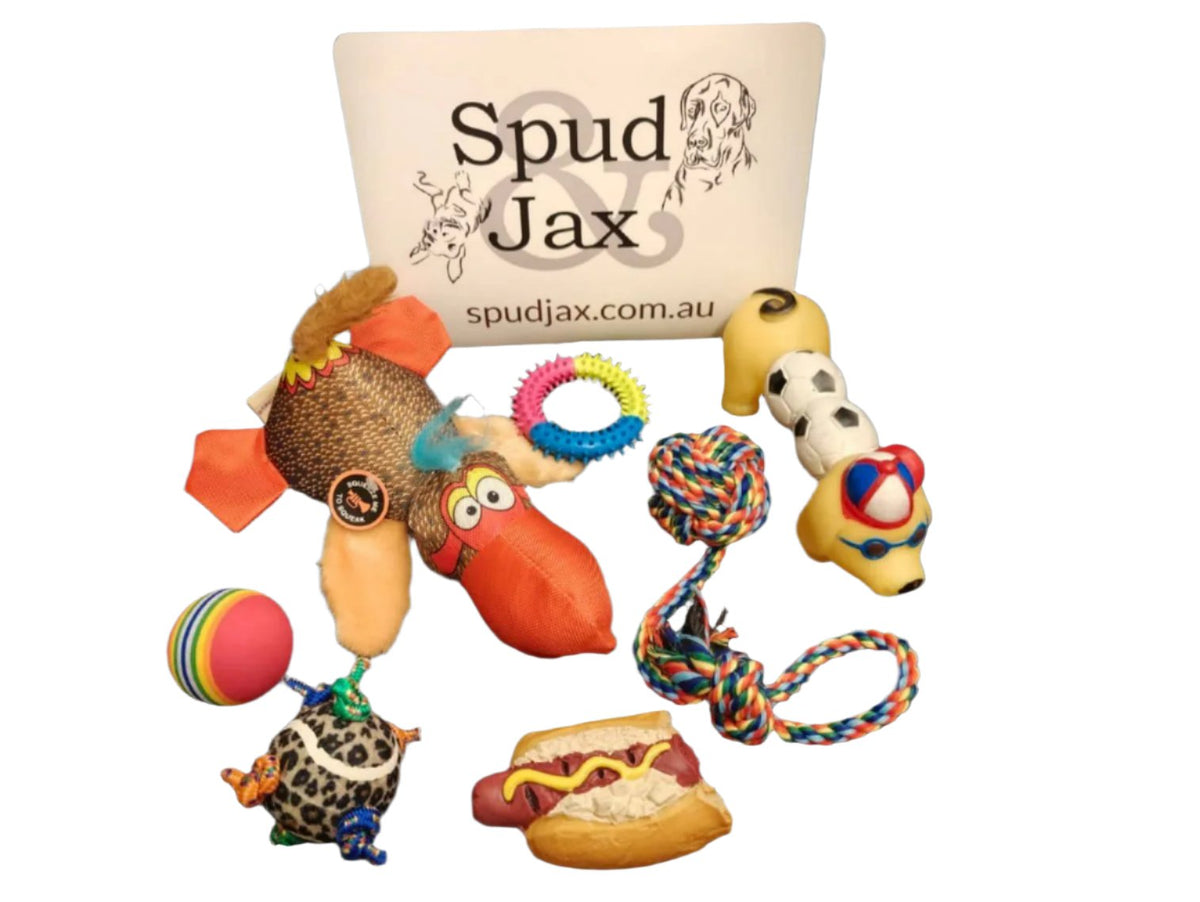 Spud Jax Petshop Toy Box Toy Box