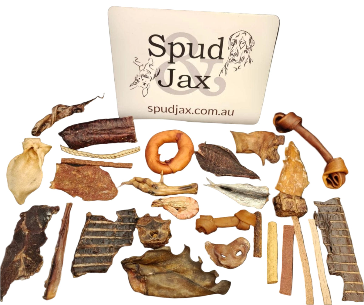 Spud Jax Petshop Christmas Treat Box Christmas Treat Box
