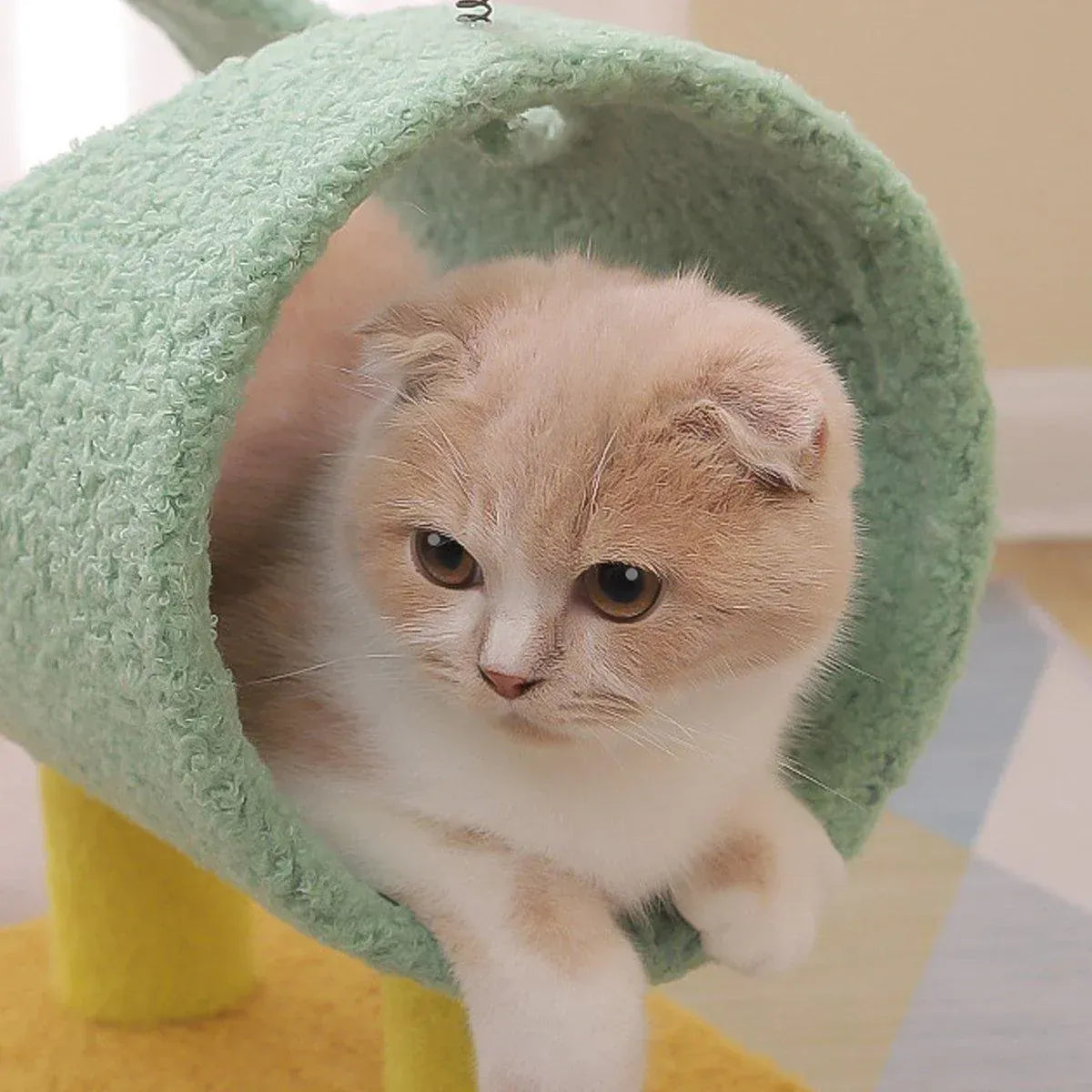 Spud Jax Petshop Climbing Frame Cat Scratching Post Jumping Platform Pet Toys for Cats and Kitten - Yellow Climbing Frame Cat Scratching Post Jumping Platform Pet Toys for Cats and Kitten - Yellow Pet Care > Cat Supplies > Cat Scratchers