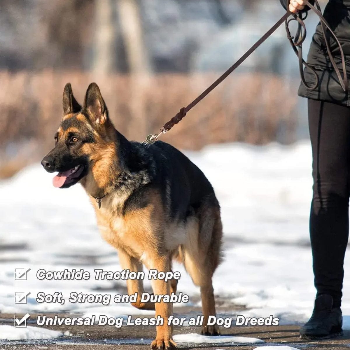 Spud Jax Petshop Dog Leash Cowhide Lead Heavy Duty Leather M Size Brown For Walking Training - Black Dog Leash Cowhide Lead Heavy Duty Leather M Size Brown For Walking Training - Black Pet Care > Dog Supplies > Dog Collars, Leads & Harnesses