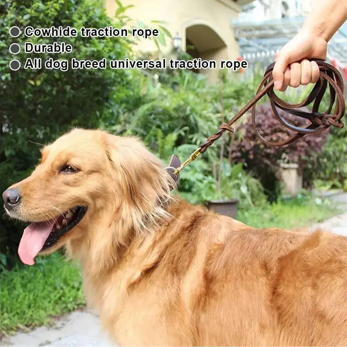 Spud Jax Petshop Dog Leash Cowhide Lead Heavy Duty Leather M Size Brown For Walking Training - Black Dog Leash Cowhide Lead Heavy Duty Leather M Size Brown For Walking Training - Black Pet Care > Dog Supplies > Dog Collars, Leads & Harnesses