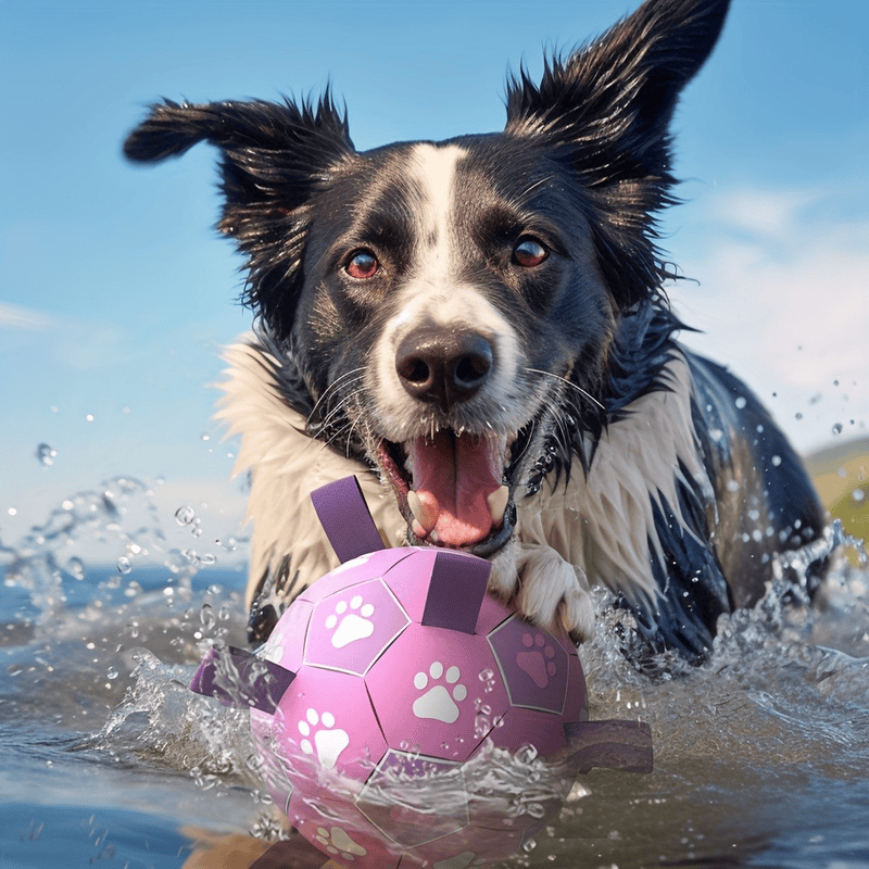 Spud Jax Petshop Durable Dog Soccer Ball Durable Dog Soccer Ball Pet Care > Toys > Dog Toys