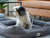 Spud Jax Petshop Easy to Clean Electric Heated Rabbit Faux Fur Covering Pet Bed - Medium Pet Care > Dog Supplies