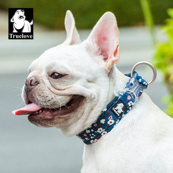 Spud Jax Petshop Floral Collar Saxony Blue XS Pet Care > Dog Supplies