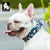 Spud Jax Petshop Floral Collar Saxony Blue XS Pet Care > Dog Supplies