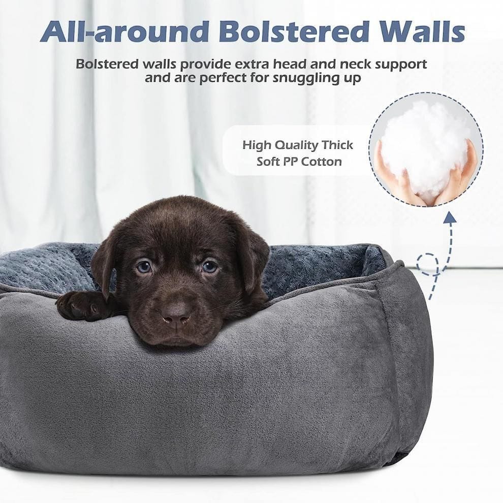 Spud Jax Petshop Grey Small & Medium Pet Bed - Washable Rectangle Dog Bed with Bolstered Walls and Anti-Slip Bottom, S (60×45×14cm) Grey Small & Medium Pet Bed - Washable Rectangle Dog Bed with Bolstered Walls and Anti-Slip Bottom, S (60×45×14cm) Pet Care > Dog Supplies > Dog Beds