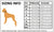 Spud Jax Petshop Heavy Duty Reflective Collar Orange XS Pet Care > Dog Supplies