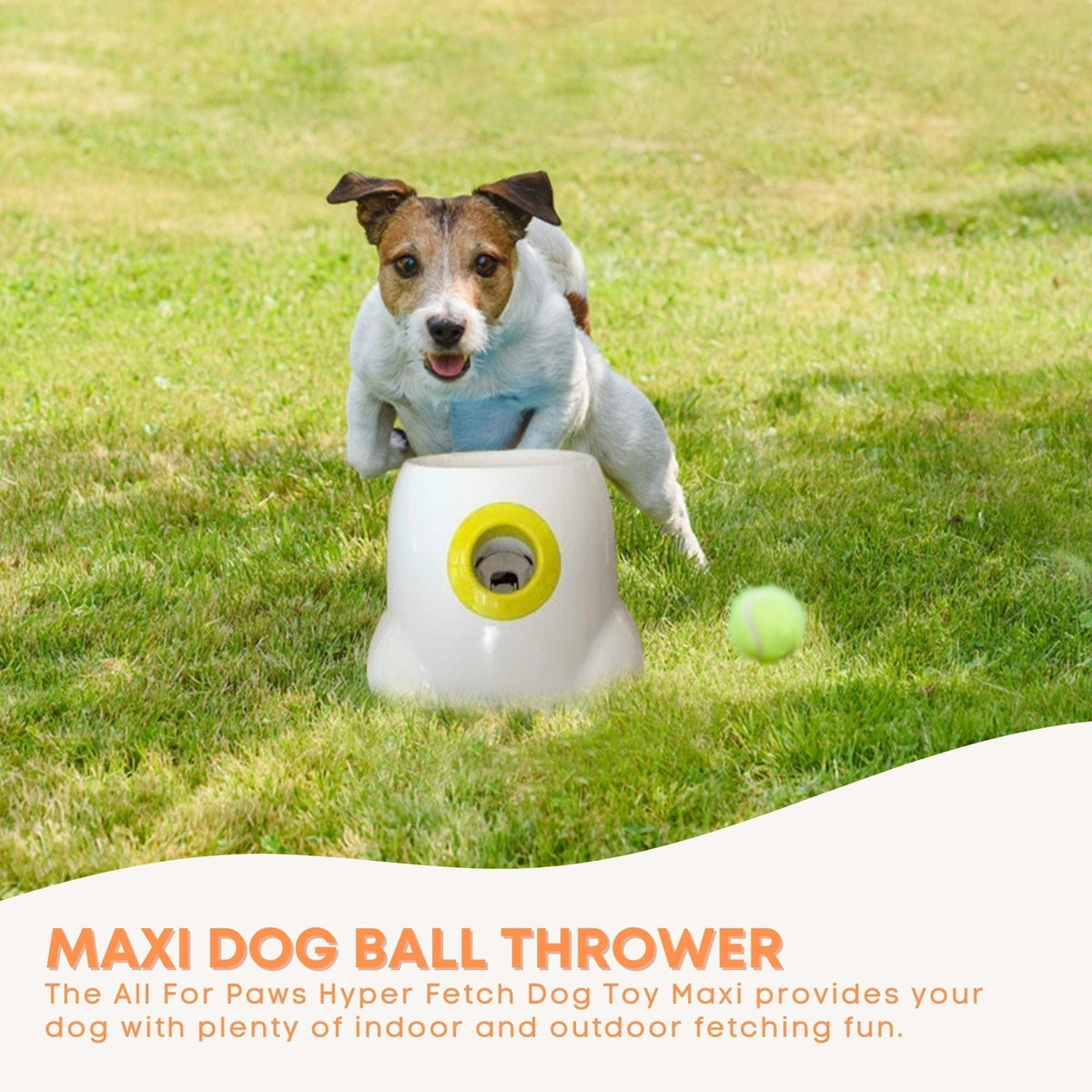 Spud Jax Petshop Hyper Fetch Maxi Dog Ball Thrower - Large Interactive Pet Toy Launcher Hyper Fetch Maxi Dog Ball Thrower - Large Interactive Pet Toy Launcher Pet Care > Toys > Dog Toys