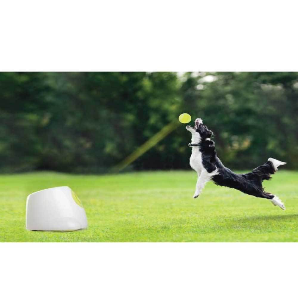 Spud Jax Petshop Hyper Fetch Maxi Dog Ball Thrower - Large Interactive Pet Toy Launcher Hyper Fetch Maxi Dog Ball Thrower - Large Interactive Pet Toy Launcher Pet Care > Toys > Dog Toys