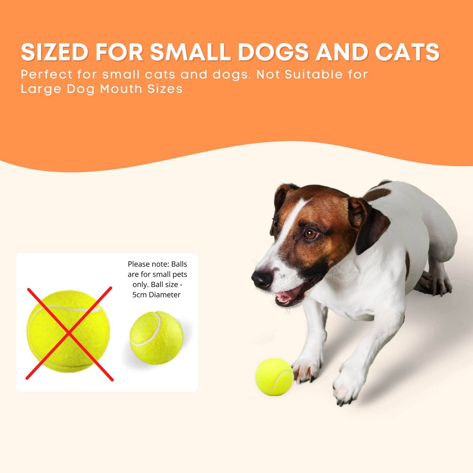 Spud Jax Petshop Hyper Fetch Mini Dog Ball Launcher - Automatic Interactive Indoor Small Pet Toy Hyper Fetch Mini Dog Ball Launcher - Automatic Interactive Indoor Small Pet Toy Pet Care > Toys > Dog Toys