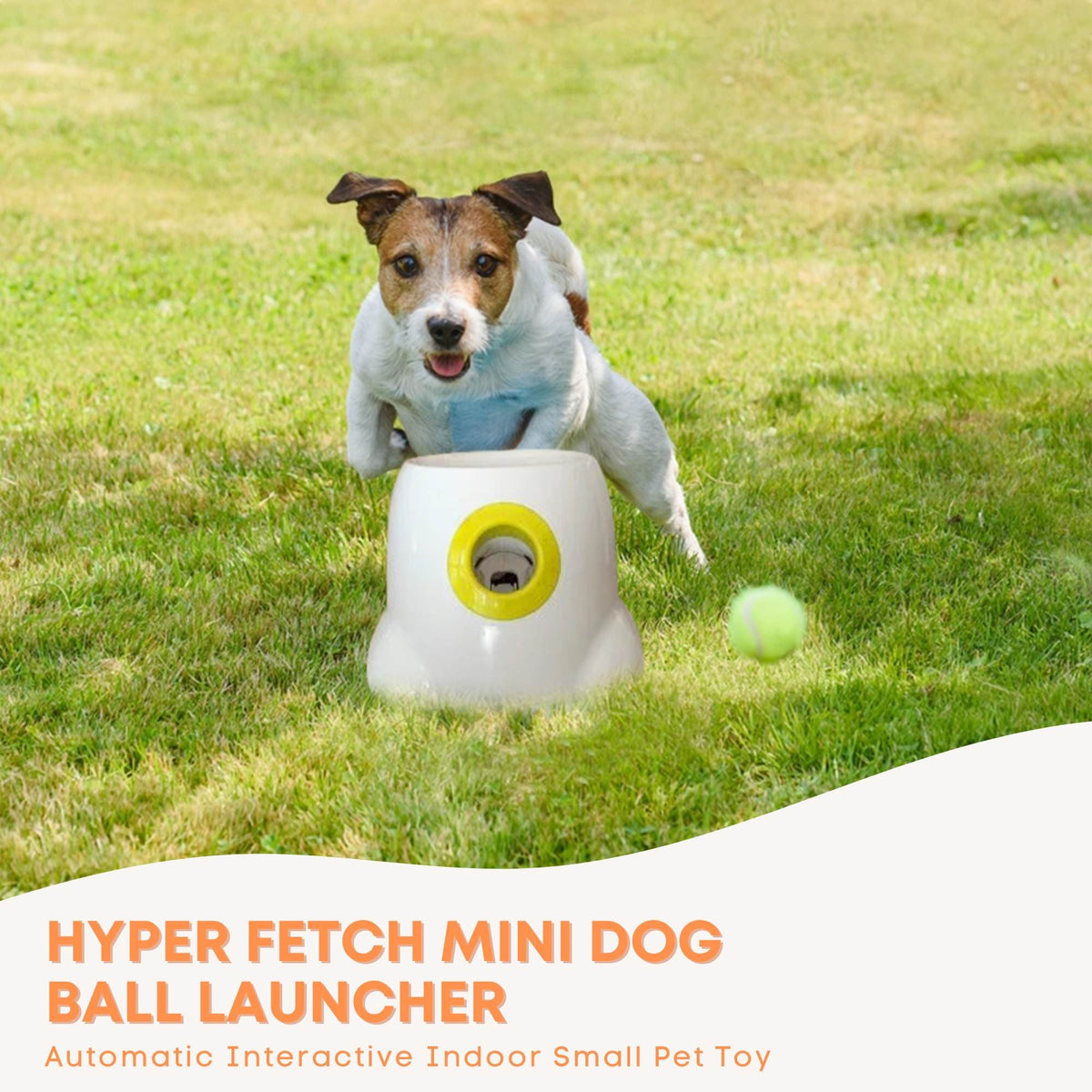 Spud Jax Petshop Hyper Fetch Mini Dog Ball Launcher - Automatic Interactive Indoor Small Pet Toy Hyper Fetch Mini Dog Ball Launcher - Automatic Interactive Indoor Small Pet Toy Pet Care > Toys > Dog Toys