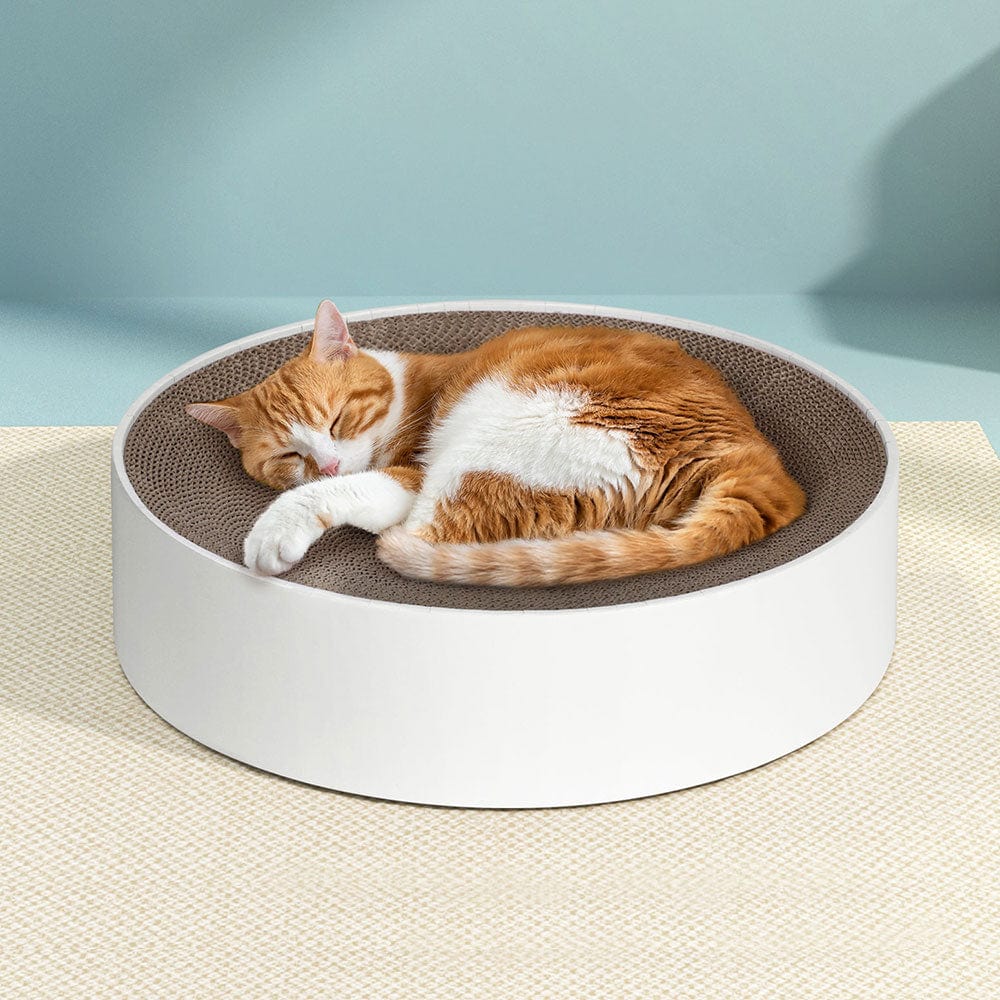Spud Jax Petshop i.Pet Cat Scratching Board Scratcher Cardboard Kitten Indoor Round Bed Catnip Pet Care > Cat Supplies > Cat Scratchers