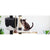 Spud Jax Petshop i.Pet Cat Tree 112cm Trees Scratching Post Scratcher Tower Condo House Furniture Wood Pet Care