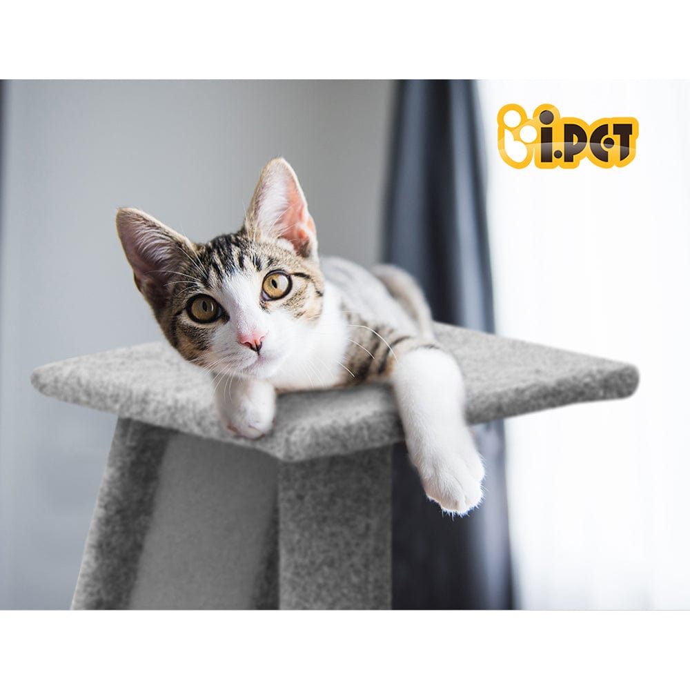 Spud Jax Petshop i.Pet Cat Tree Trees Scratching Post Scratcher Tower Condo House Climb 82cm Pet Care