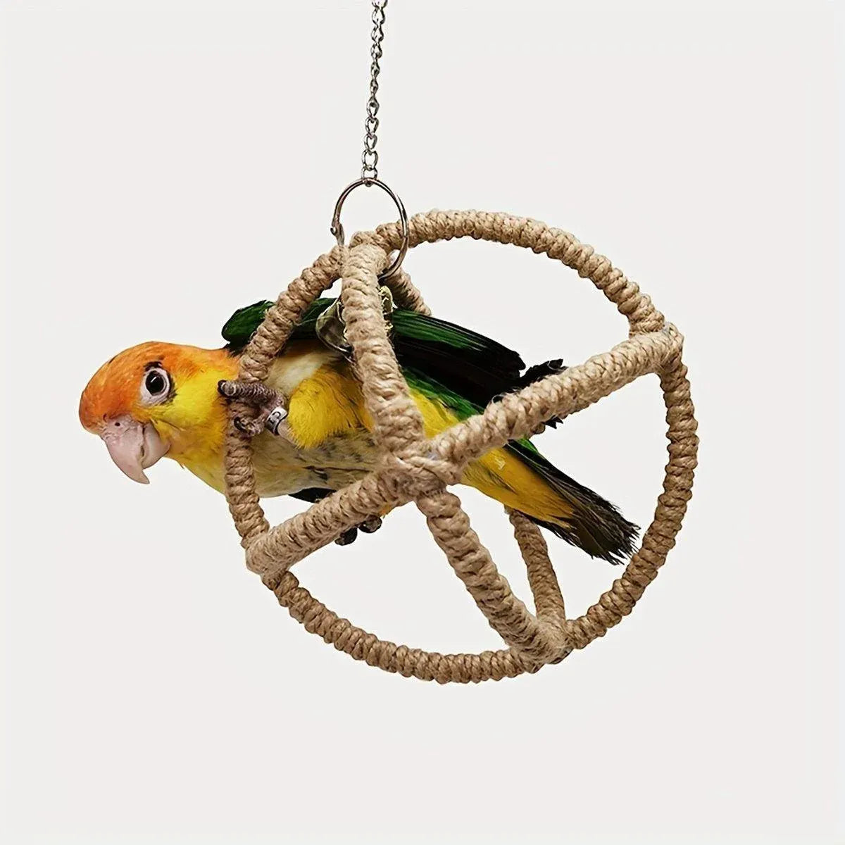 Spud Jax Petshop Interactive Parrot Hoop Swing Interactive Parrot Hoop Swing Pet Care > Bird > Bird Cage Accessories