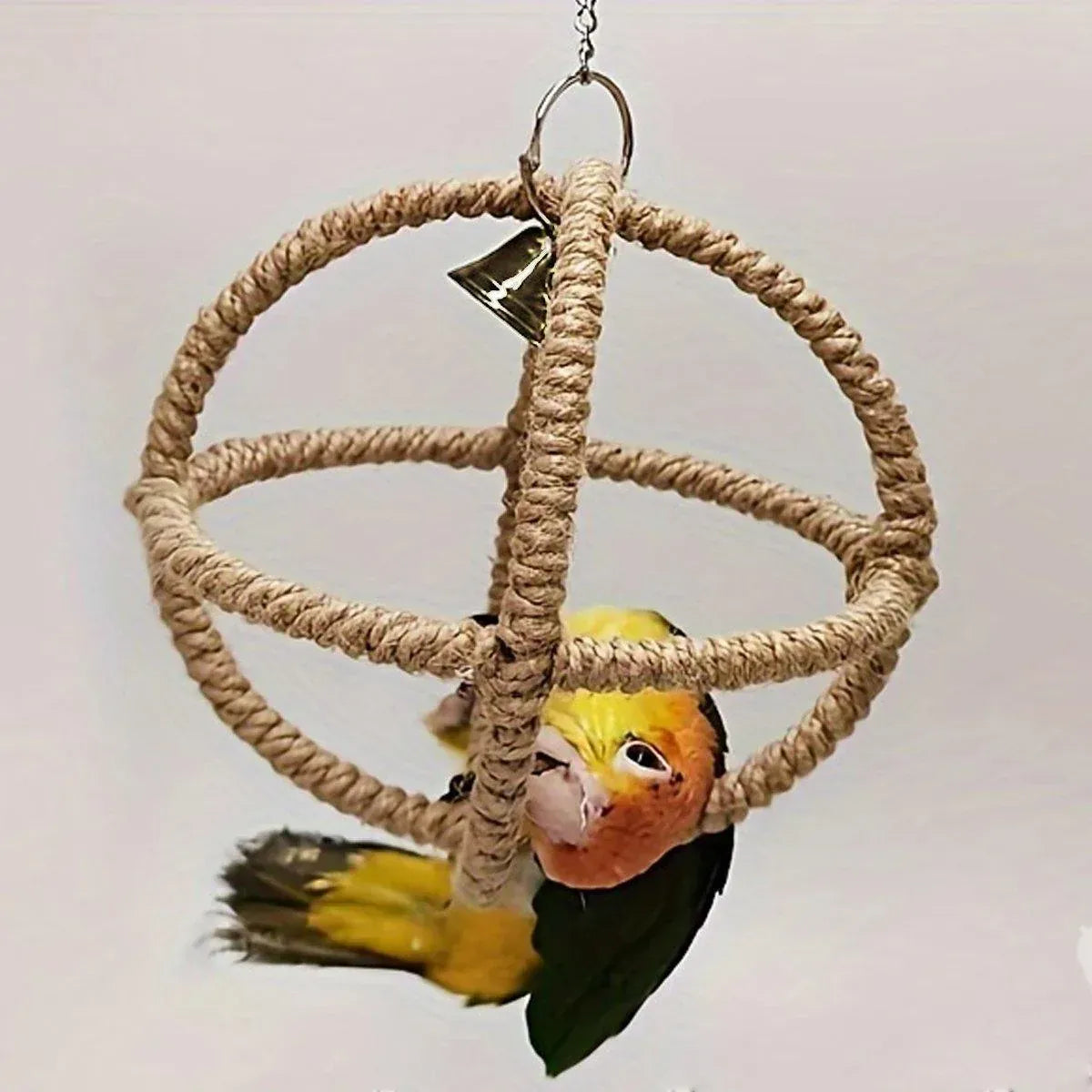 Spud Jax Petshop Interactive Parrot Hoop Swing Interactive Parrot Hoop Swing Pet Care > Bird > Bird Cage Accessories
