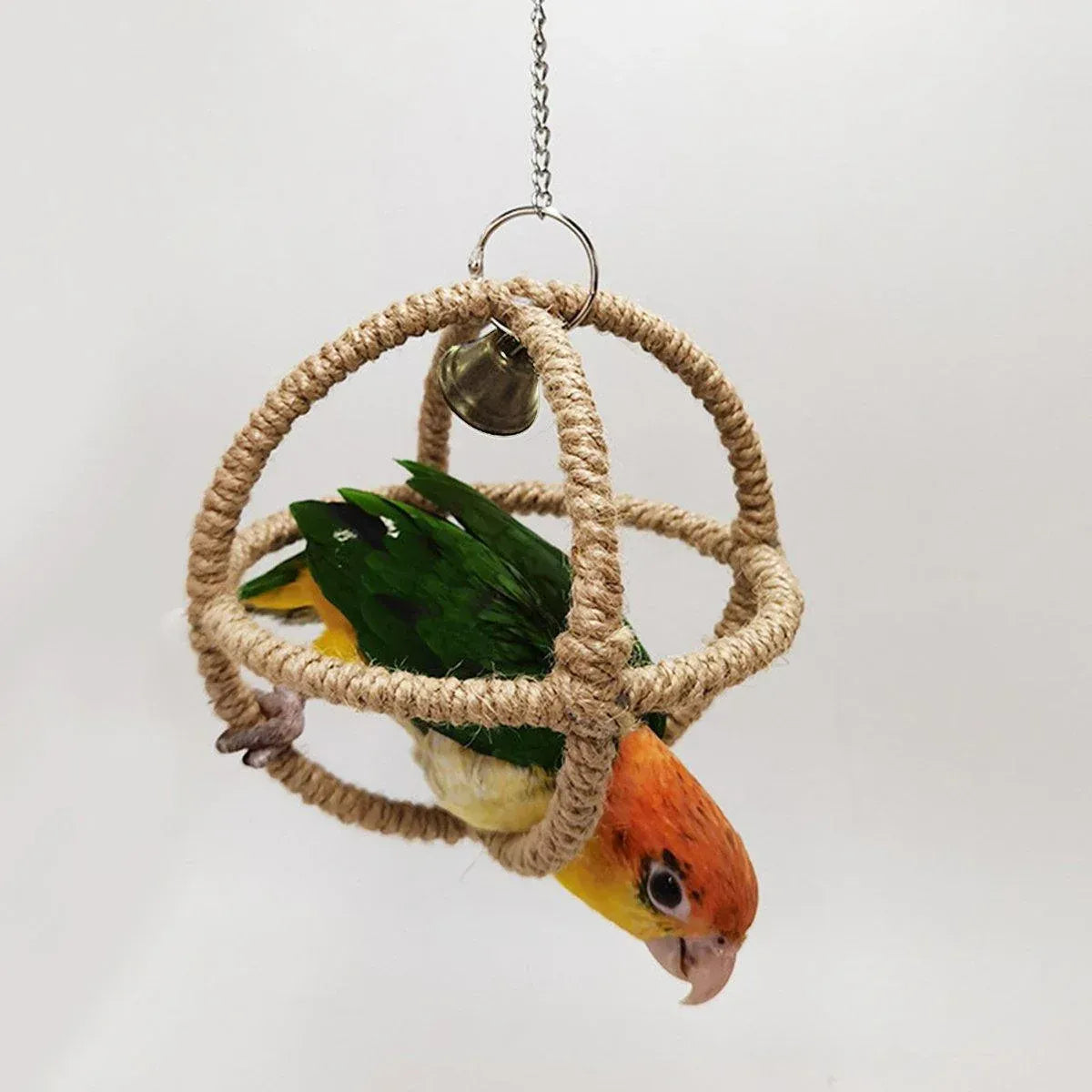 Spud Jax Petshop Interactive Parrot Hoop Swing Interactive Parrot Hoop Swing Pet Care > Bird > Bird Cage Accessories