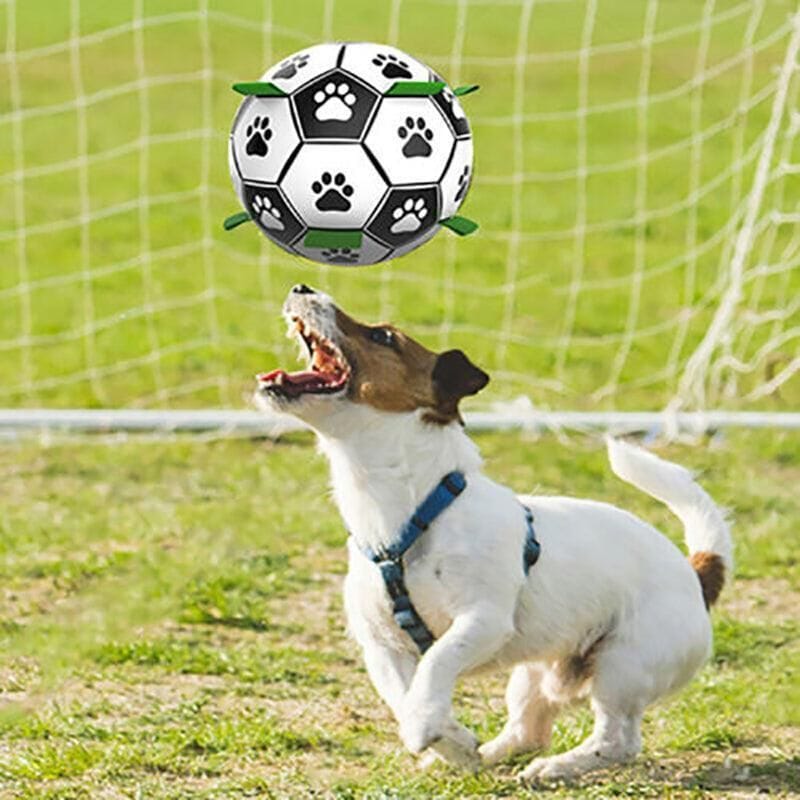 Spud Jax Petshop Interactive Pet Football Dog Toys Grab Tabs Outdoor Training Soccer Chew Balls Interactive Pet Football Dog Toys Grab Tabs Outdoor Training Soccer Chew Balls Pet Care > Toys > Dog Toys