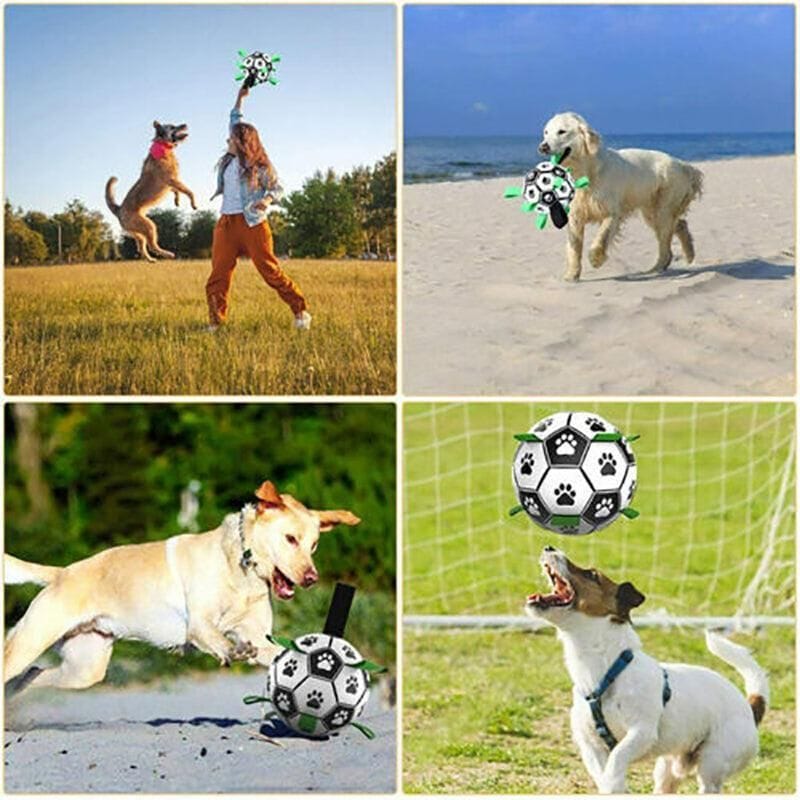 Spud Jax Petshop Interactive Pet Football Dog Toys Grab Tabs Outdoor Training Soccer Chew Balls Interactive Pet Football Dog Toys Grab Tabs Outdoor Training Soccer Chew Balls Pet Care > Toys > Dog Toys