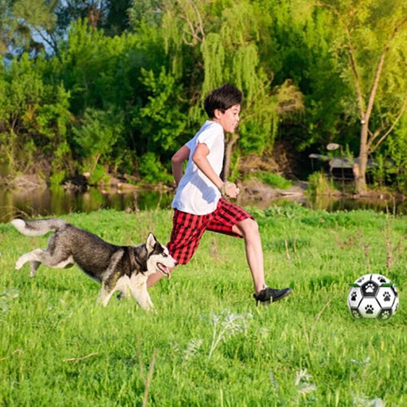 Spud Jax Petshop Interactive Pet Football Dog Toys Grab Tabs Outdoor Training Soccer Chew Balls Interactive Pet Football Dog Toys Grab Tabs Outdoor Training Soccer Chew Balls Pet Care > Toys > Dog Toys