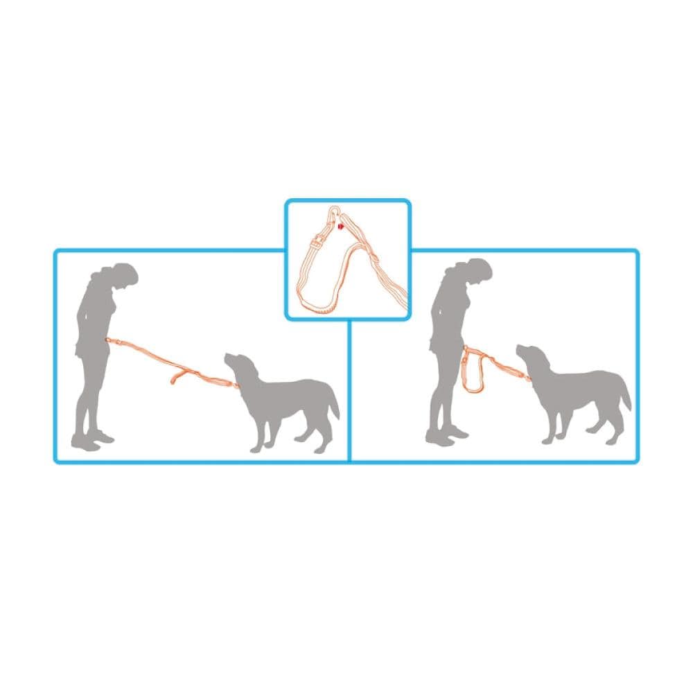 Spud Jax Petshop Jogging Dog Bungee Leash - Adjustable Waist Belt Bag + Hands Free Walking Lead Jogging Dog Bungee Leash - Adjustable Waist Belt Bag + Hands Free Walking Lead Pet Care > Dog Supplies > Dog Collars, Leads & Harnesses