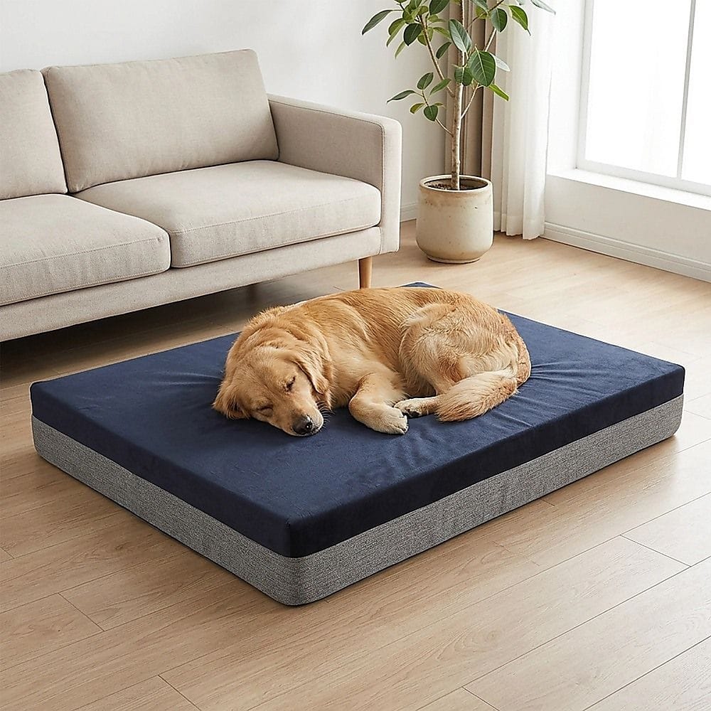 Spud Jax Petshop Memory Foam Dog Bed 15CM Thick Large Orthopedic Dog Pet Beds Waterproof Big Memory Foam Dog Bed 15CM Thick Large Orthopedic Dog Pet Beds Waterproof Big Pet Care > Cleaning & Maintenance