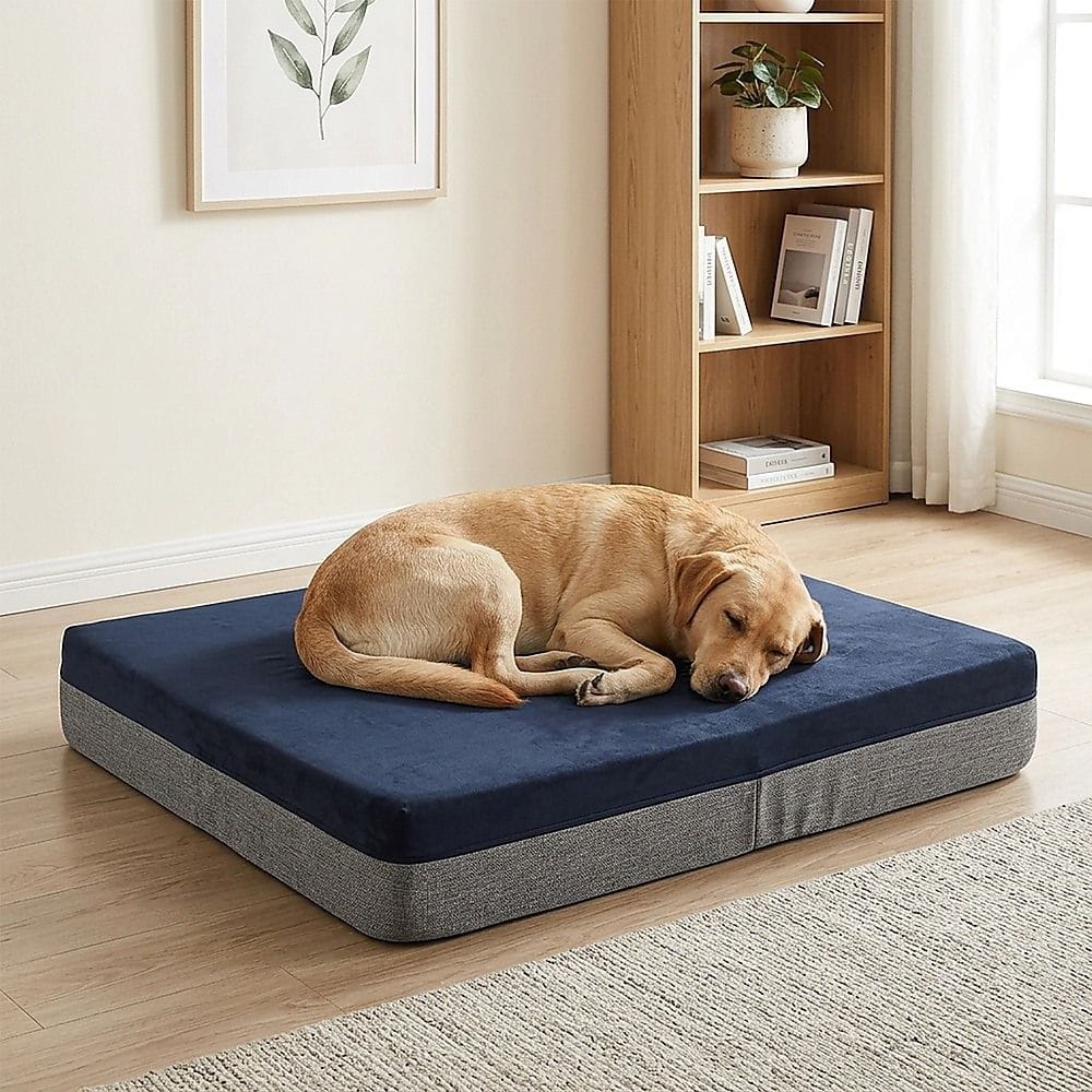 Spud Jax Petshop Memory Foam Dog Bed 15CM Thick Large Orthopedic Dog Pet Beds Waterproof Big Memory Foam Dog Bed 15CM Thick Large Orthopedic Dog Pet Beds Waterproof Big Pet Care > Cleaning & Maintenance