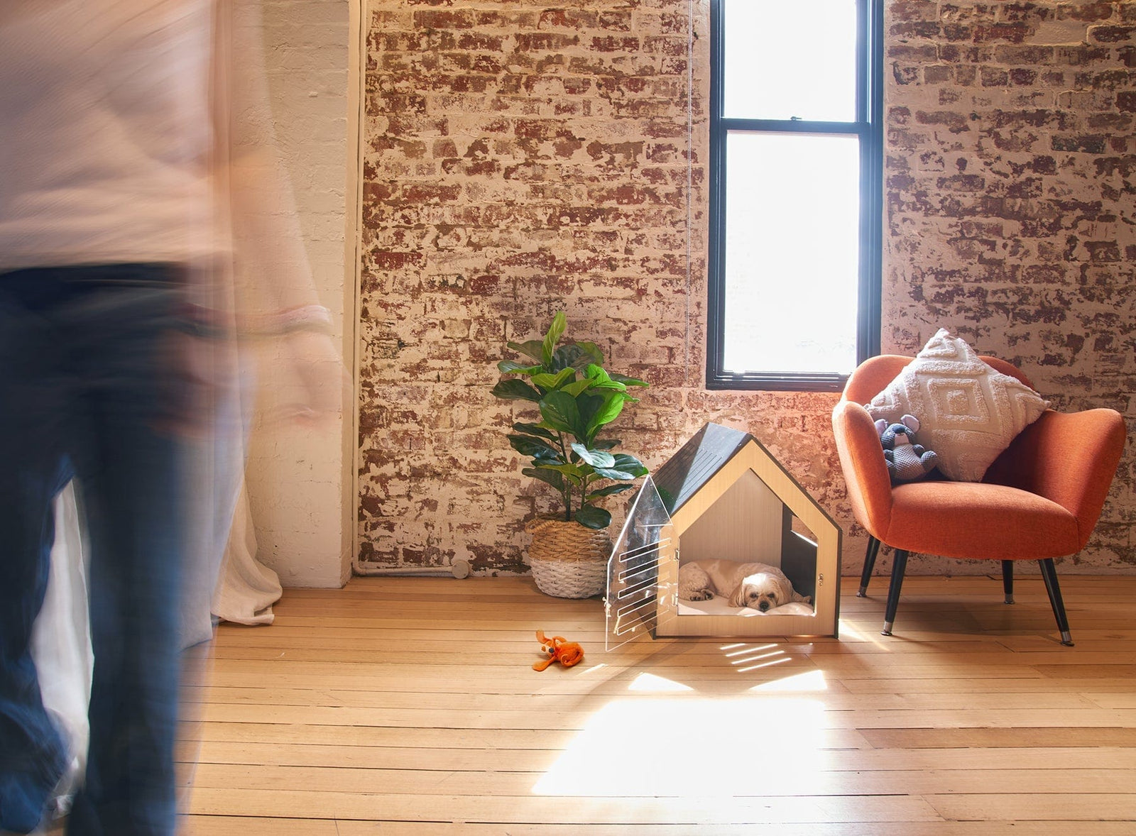 Spud Jax Petshop Modern Pet House Dog Crate (White) Modern Pet House Dog Crate (White) Pet Care > Dog Supplies > Dog Kennels