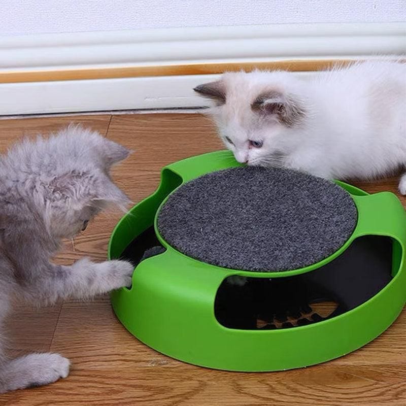 Spud Jax Petshop Motion Kitten Cat Toy Catch The Mouse Chase Interactive Cat Training Scratchpad - Red Motion Kitten Cat Toy Catch The Mouse Chase Interactive Cat Training Scratchpad - Red Pet Care > Toys > Dog Toys