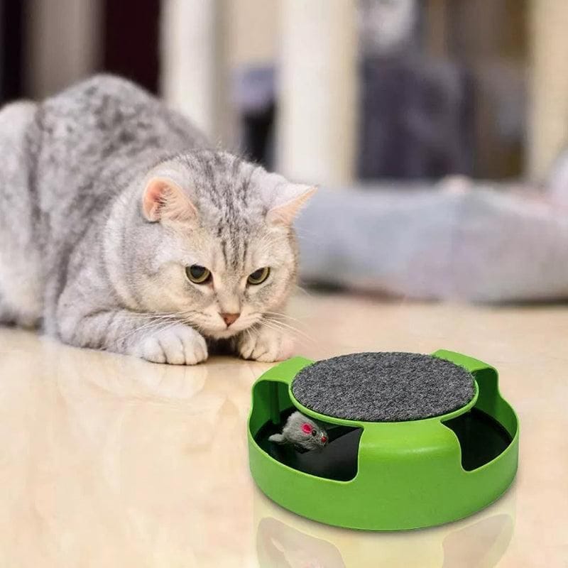 Spud Jax Petshop Motion Kitten Cat Toy Catch The Mouse Chase Interactive Cat Training Scratchpad - Red Motion Kitten Cat Toy Catch The Mouse Chase Interactive Cat Training Scratchpad - Red Pet Care > Toys > Dog Toys
