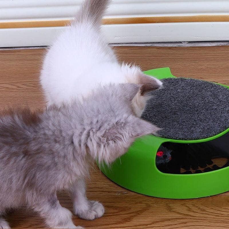 Spud Jax Petshop Motion Kitten Cat Toy Catch The Mouse Chase Interactive Cat Training Scratchpad - Red Motion Kitten Cat Toy Catch The Mouse Chase Interactive Cat Training Scratchpad - Red Pet Care > Toys > Dog Toys