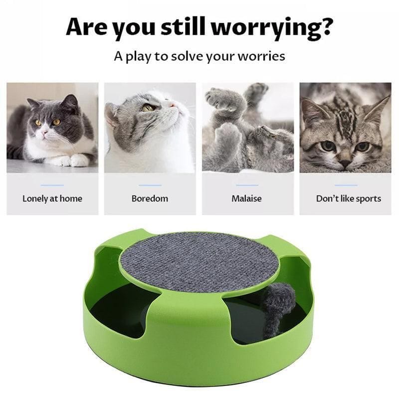 Spud Jax Petshop Motion Kitten Cat Toy Catch The Mouse Chase Interactive Cat Training Scratchpad - Red Motion Kitten Cat Toy Catch The Mouse Chase Interactive Cat Training Scratchpad - Red Pet Care > Toys > Dog Toys