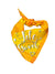 Spud Jax Petshop New Kitten Pack New Kitten Pack Pet Care > Cat Supplies