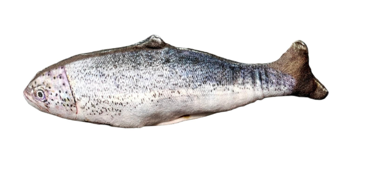 Spud Jax Petshop New Kitten Pack New Kitten Pack Pet Care > Cat Supplies