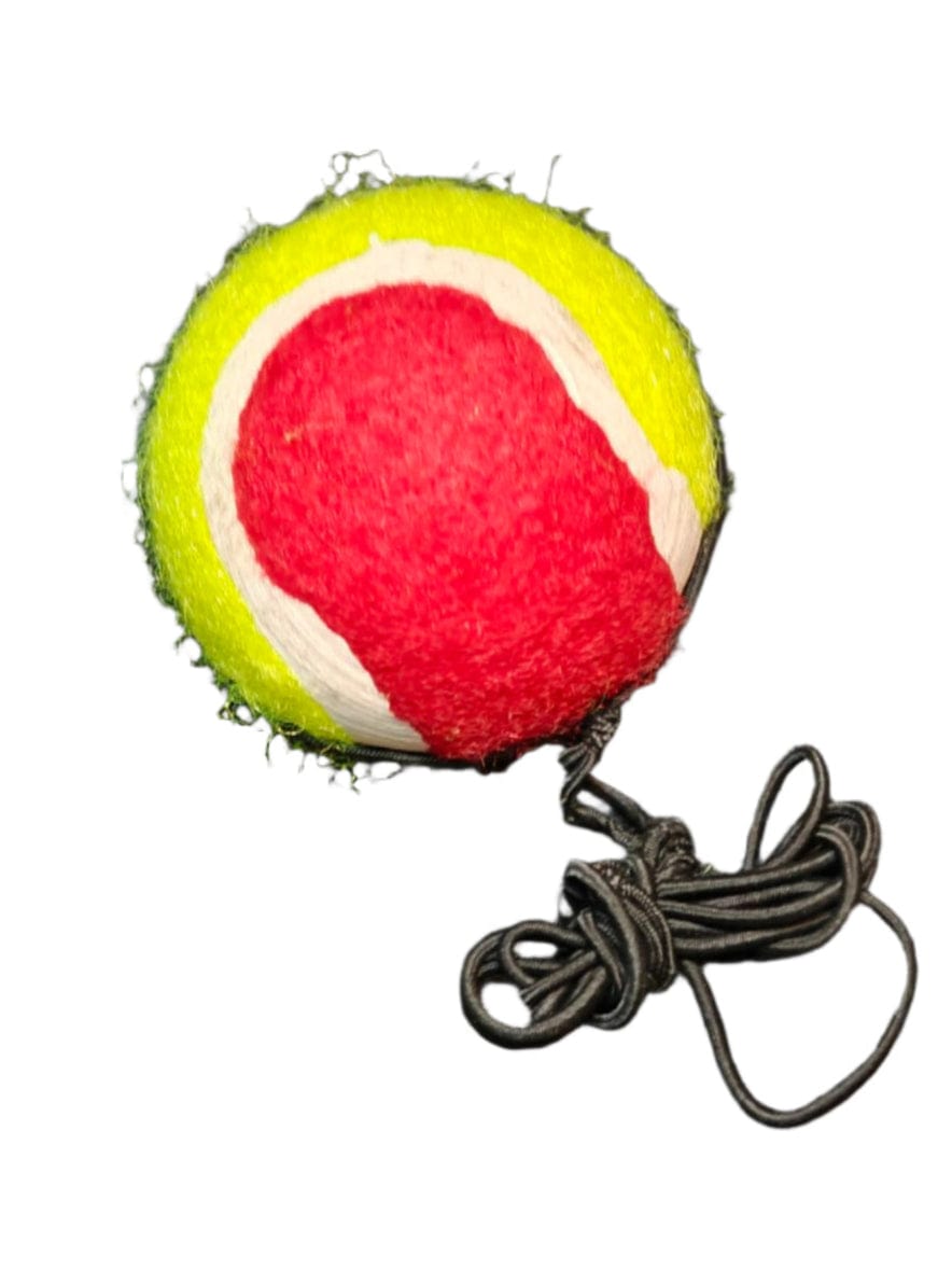 Spud Jax Petshop New Kitten Pack New Kitten Pack Pet Care > Cat Supplies