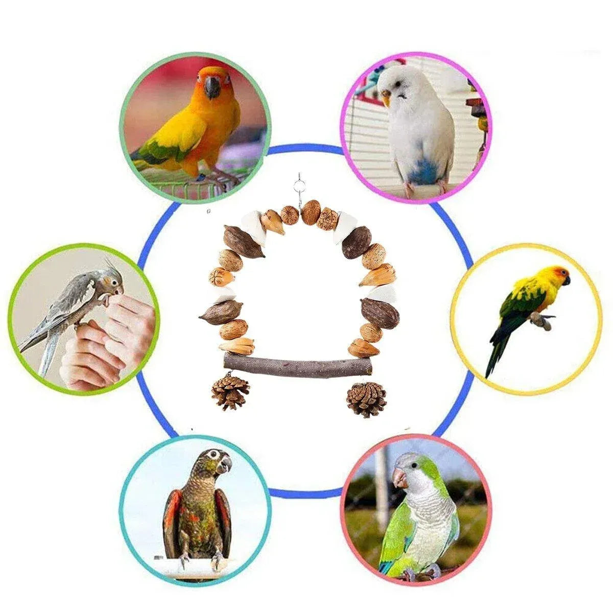 Spud Jax Petshop Parrot swing - Pine Cones Parrot swing - Pine Cones Pet Care > Bird > Bird Cage Accessories