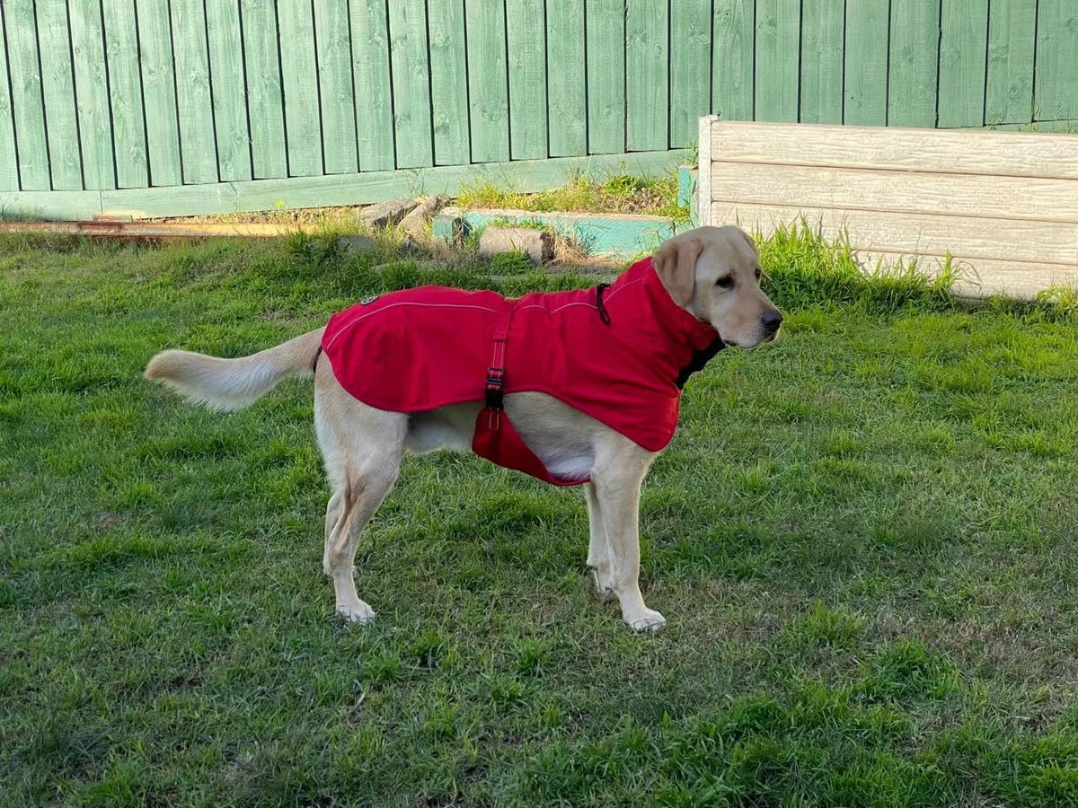 Spud Jax Petshop Pet Dog Raincoat Poncho Jacket Windbreaker Waterproof Clothes with Harness Hole-XS-Red Pet Care > Dog Supplies