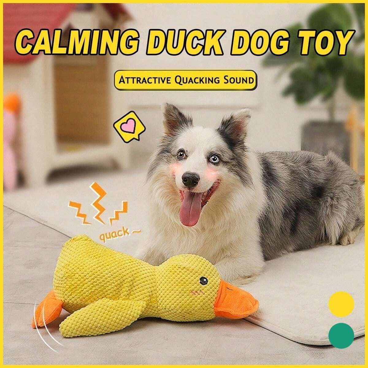 Spud Jax Petshop Plush Cartoon Duck Dog Toy Interactive Squeaky Pet Toy Durable Fun Chew Toy - Green Plush Cartoon Duck Dog Toy Interactive Squeaky Pet Toy Durable Fun Chew Toy - Green Pet Care > Dog Supplies > Dog Apparel