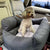 Spud Jax Petshop Premium Dog Booster Seat for Medium Pets Pet Care > Dog Supplies