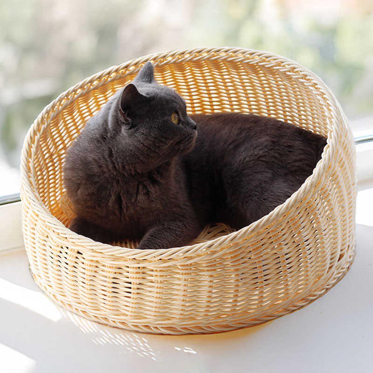 Spud Jax Petshop Rattan Cat Nest Four Seasons Open Cat House Summer Bed for Cats Pet Supplies - Coffee Rattan Cat Nest Four Seasons Open Cat House Summer Bed for Cats Pet Supplies - Coffee Pet Care > Cat Supplies > Cat Furniture