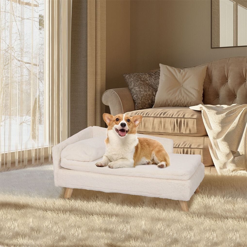 Spud Jax Petshop Small Raised Pet Sofa 70x40x39cm Waterproof Portable Dog Bed Small Raised Pet Sofa 70x40x39cm Waterproof Portable Dog Bed Pet Care > Dog Supplies > Dog Beds
