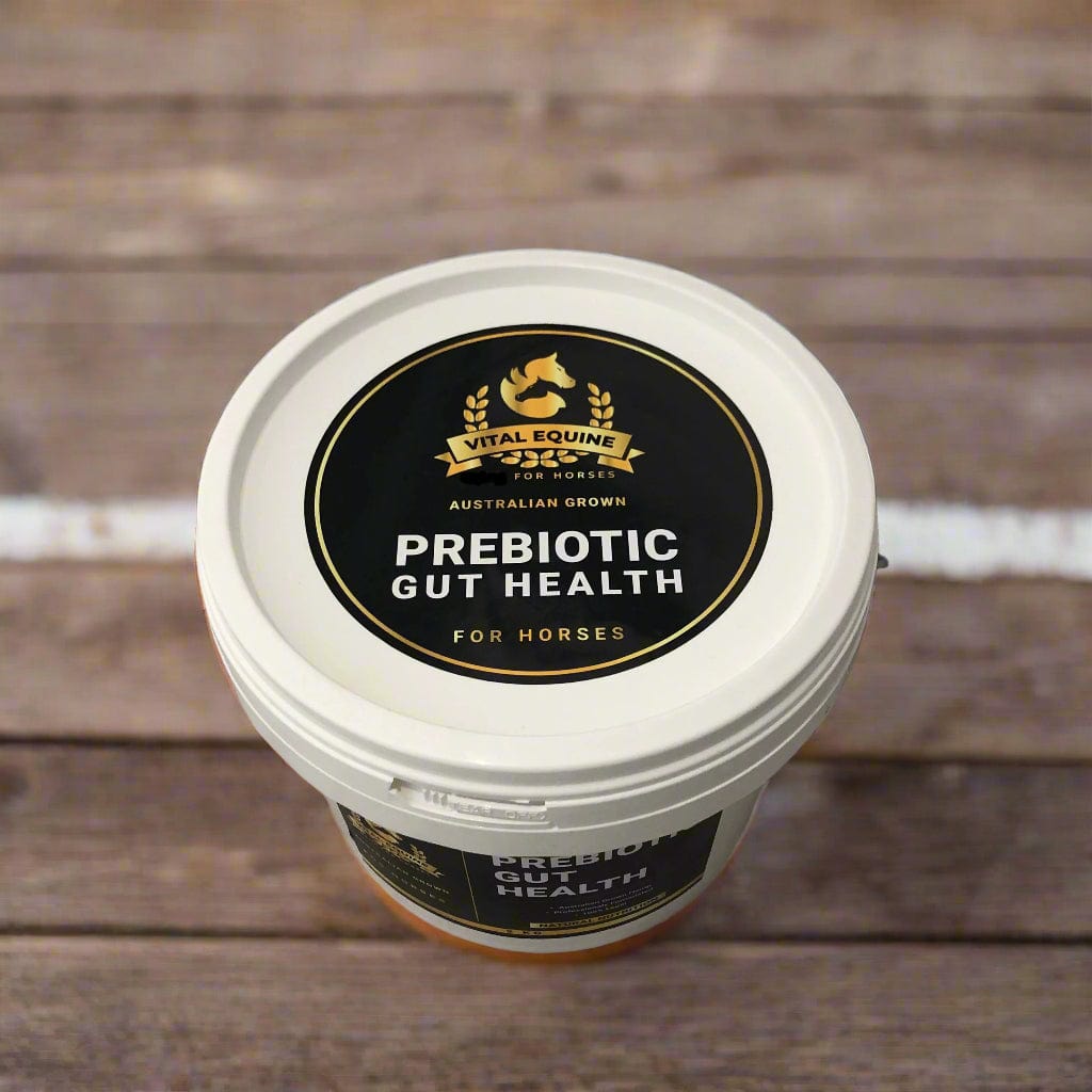 Spud Jax Petshop The Moulin Omega Blend | Calming & Gut Health Supplement with Omega 3,6 & 9 | 5kg Refill Bag + Free Shipping The Moulin Omega Blend | Calming & Gut Health Supplement with Omega 3,6 & 9 | 5kg Refill Bag + Free Shipping Pet Care > Pet Food > Dog Food