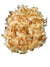 Spud Jax Petshop Tuna Flakes for Cats Tuna Flakes for Cats Cat Treats
