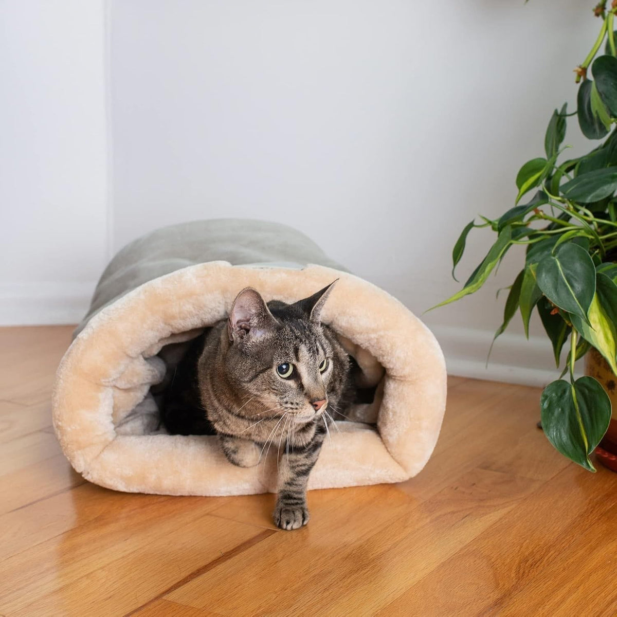 Spud Jax Petshop Universal Pet Warm Bed Dark Brown Universal Pet Warm Bed Dark Brown Pet Care > Dog Supplies > Dog Beds