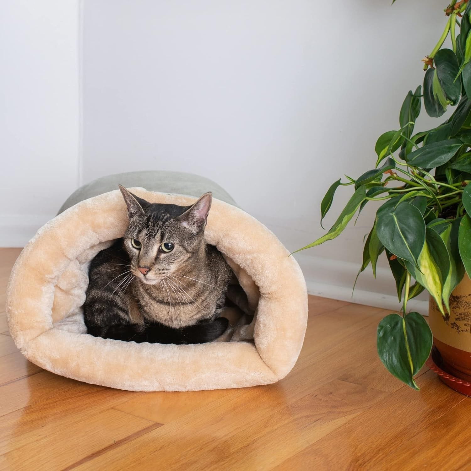 Spud Jax Petshop Upgraded Support Pet Warm Bed Gray Upgraded Support Pet Warm Bed Gray Pet Care > Dog Supplies > Dog Beds